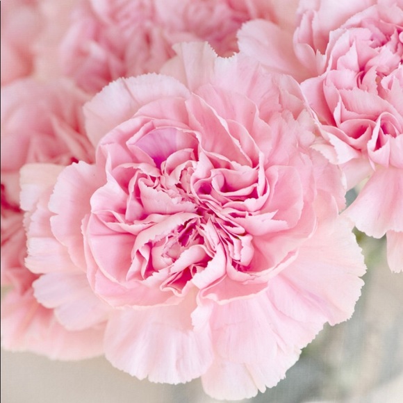 pinkpeonyltd